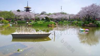 武汉东湖樱花园的时间推移